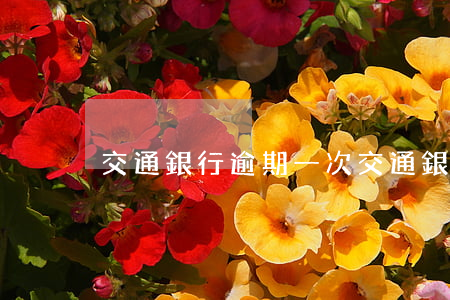 交通銀行逾期一次（交通銀行信用卡逾期六月）