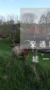交通銀行逾期五次還款(交通銀行逾期2年,不能一次還完怎么辦)