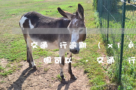 交通銀行逾期協(xié)商失業(yè)證明可以嗎-交通銀行逾期協(xié)商材料怎樣寫(xiě)