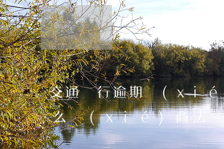 交通銀行逾期協(xié)商還款一般是怎么協(xié)商法-交通銀行逾期協(xié)商還款需要什么資料