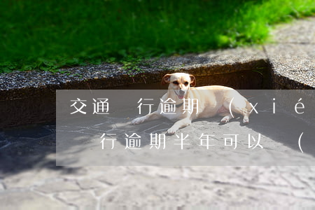 交通銀行逾期協(xié)商還款不肯(交通銀行逾期半年可以協(xié)商只還本領嗎)