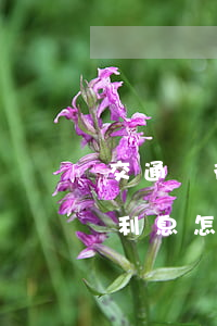 交通銀行逾期多少費用（交通銀行信用卡逾期利息怎么收費）