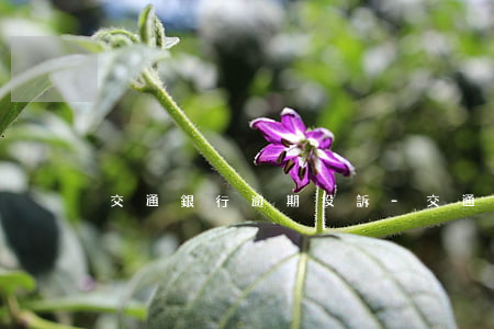 交通銀行逾期投訴-交通銀行投訴中心