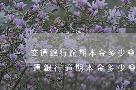 交通銀行逾期本金多少會(huì)起訴(交通銀行逾期本金多少會(huì)起訴)