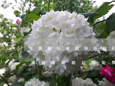 交通銀行逾期申訴說45天最快幾天處理（交通銀行逾期起訴需要多久）