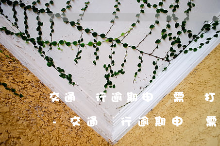 交通銀行逾期申請需撥打哪個(gè)電話-交通銀行逾期申請需撥打哪個(gè)電話號碼