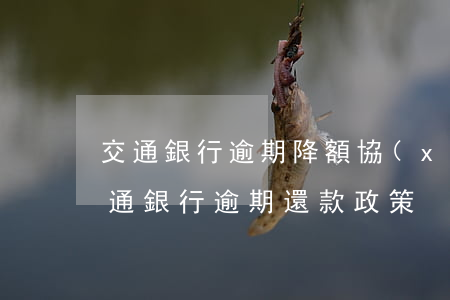 交通銀行逾期降額協(xié)商還款-交通銀行逾期還款政策