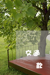 交通銀行遲了兩天還款-交通銀行遲了兩天還款會有費(fèi)息?