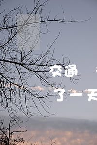 交通銀行還款逾期一次(交行信用卡還款逾期了一天)