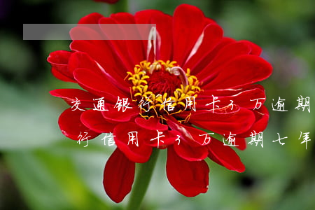 交通银行信用卡3万逾期七年还款-交通银行信用卡3万逾期七年还款利息多少