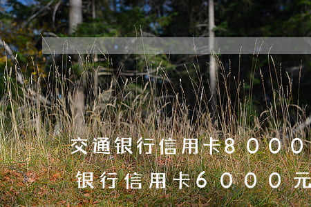 交通银行信用卡8000多要起诉-欠交通银行信用卡6000元,要起诉我怎么办