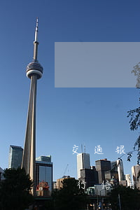 交通银行信用卡协商还款电话号码-交通银行信用卡协商还款电话号码查询