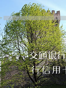 交通银行信用卡圆梦金逾期怎么办-交通银行信用卡圆梦金逾期怎么办理