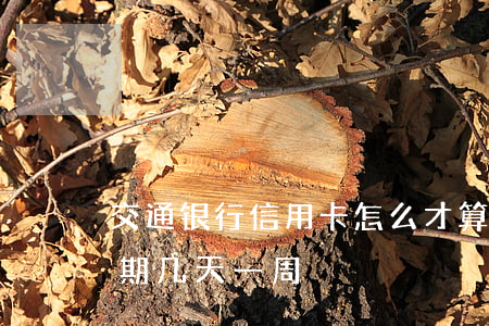 交通银行信用卡怎么才算逾期-交通银行逾期几天一周