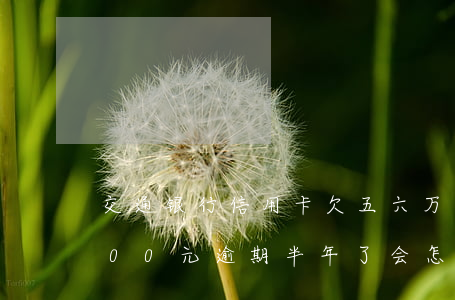交通银行信用卡欠五六万(欠交通信用卡6000元逾期半年了,会怎么样)