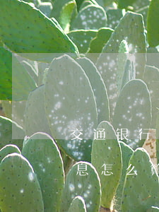 交通银行信用卡透支利率(交通银行透支卡利息怎么算)
