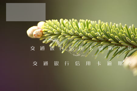 交通银行信用卡逾期2年可以协商还款吗-交通银行信用卡逾期2年可以协商还款吗