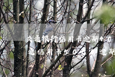 交通银行信用卡逾期4000会上门吗-交通信用卡5000逾期2年会被上门调查吗