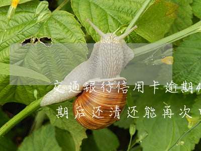 交通银行信用卡逾期4期还全款后-交行逾期后还清还能再次申请信用卡吗