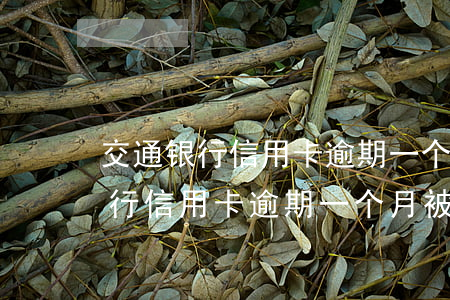交通银行信用卡逾期一个月被起诉-交通银行信用卡逾期一个月被起诉会怎么样