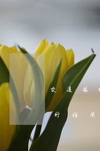交通银行信用卡逾期了利息怎么算-交通银行信用卡逾期了利息怎么算的