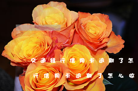交通银行信用卡逾期了怎么收利息-交通银行信用卡逾期了怎么收利息呢