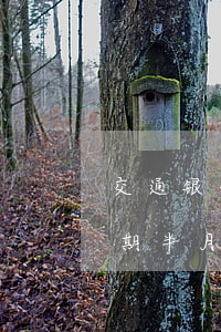 交通银行信用卡逾期半月(交通银行信用卡逾期半月会微信发信息说即将清零)
