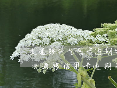 交通银行信用卡逾期协商还款电话是多少-交通银信用卡逾期如何协商还款?