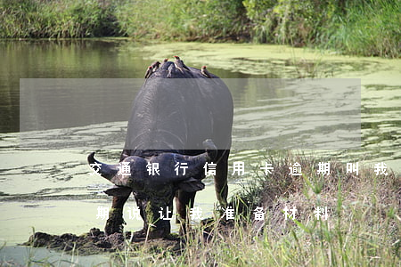 交通银行信用卡逾期叫我去签字(交通银行逾期说让我准备材料)