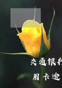 交通银行信用卡逾期可以重新办吗(以前用信用卡逾期过了为什么还能办信用卡)