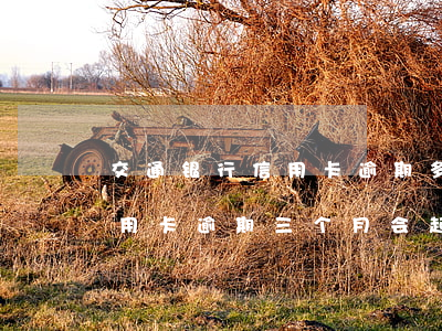 交通银行信用卡逾期多久会上黑(交通银行信用卡逾期三个月会起诉吗)