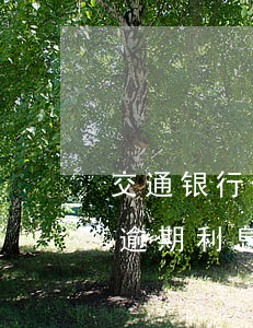 交通银行信用卡逾期多少钱会起诉(交通银行逾期利息太高 可以提出诉讼吗)