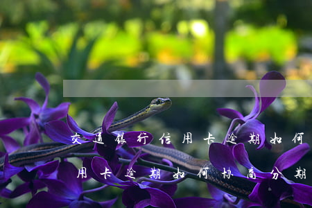 交通银行信用卡逾期如何协商-交通银行信用卡逾期如何协商分期还款