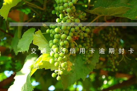 交通银行信用卡逾期封卡解冻 信用卡 逾期 冻结