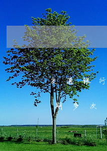 交通银行信用卡逾期怎么还(交通银行信用逾期多次还款后还能用吗)
