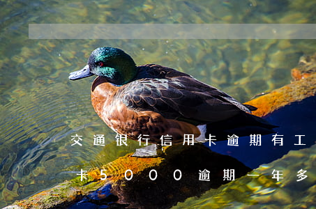 交通银行信用卡逾期有工资吗(交通银行信用卡5000逾期一年多会怎么样)
