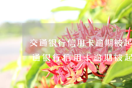 交通银行信用卡逾期被起诉该怎么解决-交通银行信用卡逾期被起诉该怎么解决呢