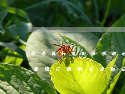 交通银行信用卡逾期记录多久就会消除-交通银行信用卡逾期记录多久就会消除了
