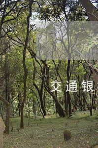 交通银行信用卡逾期还款协商书