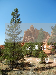 交通银行停息挂账如何跟银行协商-交通银行停息挂账银行会同意吗