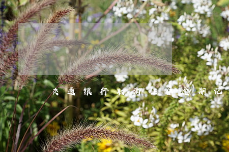 交通银行取消征信逾期记录
