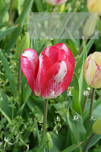 交通银行的信用卡逾期期限(交行的信用卡能逾期几天)
