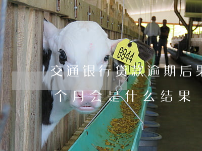 交通银行贷款逾期后果(交通银行贷款逾期四个月会是什么结果)