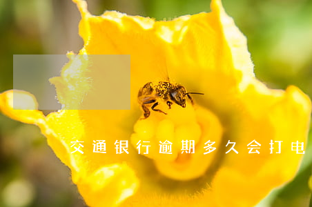 交通银行逾期多久会打电话给紧急联系人？
