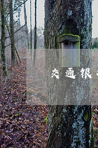交通银行逾期被冻结（交通银行逾期被冻结）