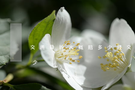 交通骨折大概賠多少錢(交通事故骨折賠付多少)