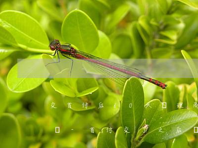 交首付后60天辦理商貸會(huì)逾期嗎-首付交了之后,貸款一般能延遲多久