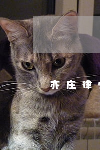 亦庄律师事务所(亦庄律师事务所)