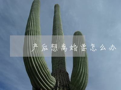 产后想离婚要怎么办