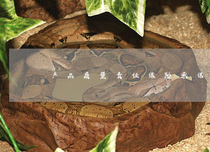 产品质量责任保险承保哪些责任？